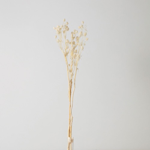 造花　ドライ　ディスプレイ　ＡＮ８００２６　エリンジウム　＃００１　ホワイト