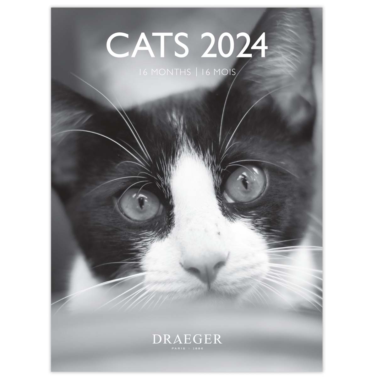 ドレジャー 2024年 スモールカレンダー CATS BLACK & WHITE 壁掛け