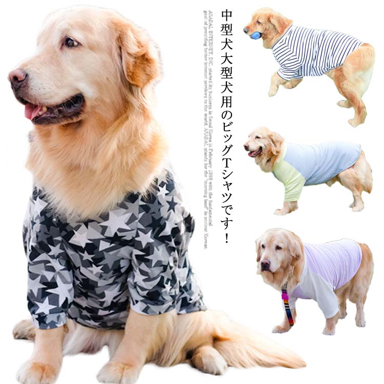 大型犬 服 クール 夏 冷感 サマー メッシュ Tシャツ 大型犬 中型犬 超大型犬 手 犬