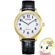 腕時計 BJ6543-10A メンズ ブラック シチズン Citizen