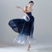 グラデーション社交ダンス衣装　古典舞踊　モダンダンスウェア