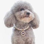犬　首輪　犬用首輪 ペットアクセサリー　軽い首輪　可愛い首輪　真珠首輪　全種類犬用首輪　４サイズ　４
