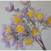 ins 母の日 誕生日 写真 お花 花を作り  インテリア 花束  装飾 撮影道具  プラスチックの花