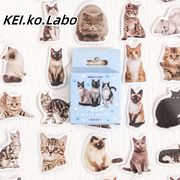 45枚入   猫  ネコ ステッカー 手帳ステッカー DIY 手作り 防水  装飾用  シール  手帳素材   猫雑貨