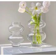 工芸品置物    花瓶    ins風    撮影道具    装飾    ガラス    水栽培生け