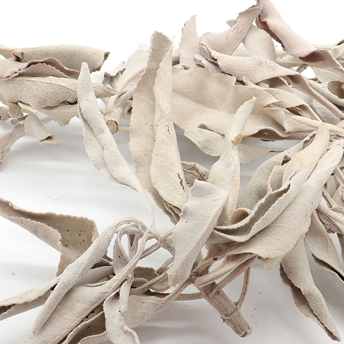 ホワイトセージ 浄化用 【30　10g】 無農薬 カリフォルニア産 whitesage リーフタイプ