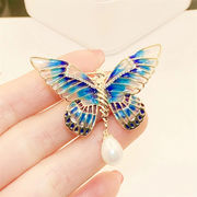 蝶のブローチ、蝶の飾り、パールジュエリー、女性のファッション、韓国ファッション、スカーフバックル