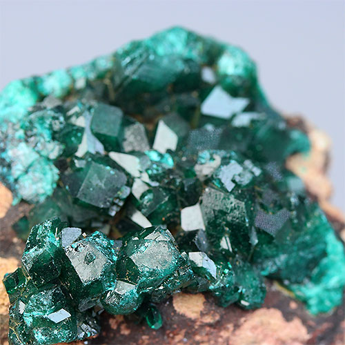 期間限定セール ダイオプテーズ（翠銅鉱）コンゴ産 鉱物【FOREST Dioptase その他