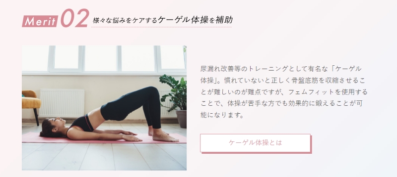 BODY DOCTOR EMSケイゲルトレーナー femfit BODY DOCTOR EMSケイゲルトレーナー femfit