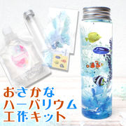 【予約販売 5月中旬頃順次発送】 工作キット 海の生き物 ハーバリウム【17】手作りキット 夏休み 子供 宿題
