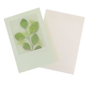フローラルパレットカード 多目的 ライトグリーン