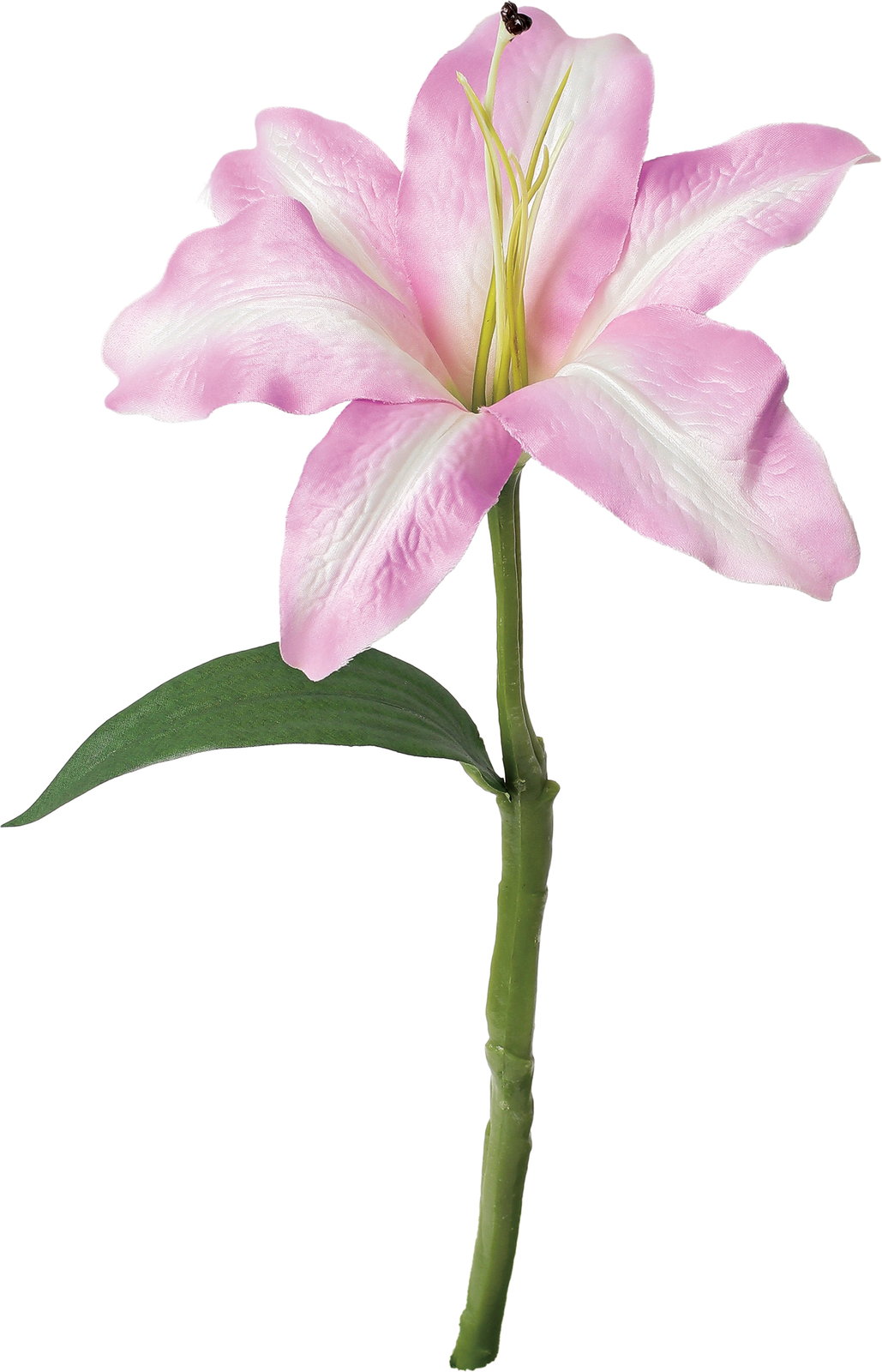 造花】カサブランカ GL-5351KK | 卸売・ 問屋・仕入れの専門サイト