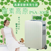 酸素高原PSA3000