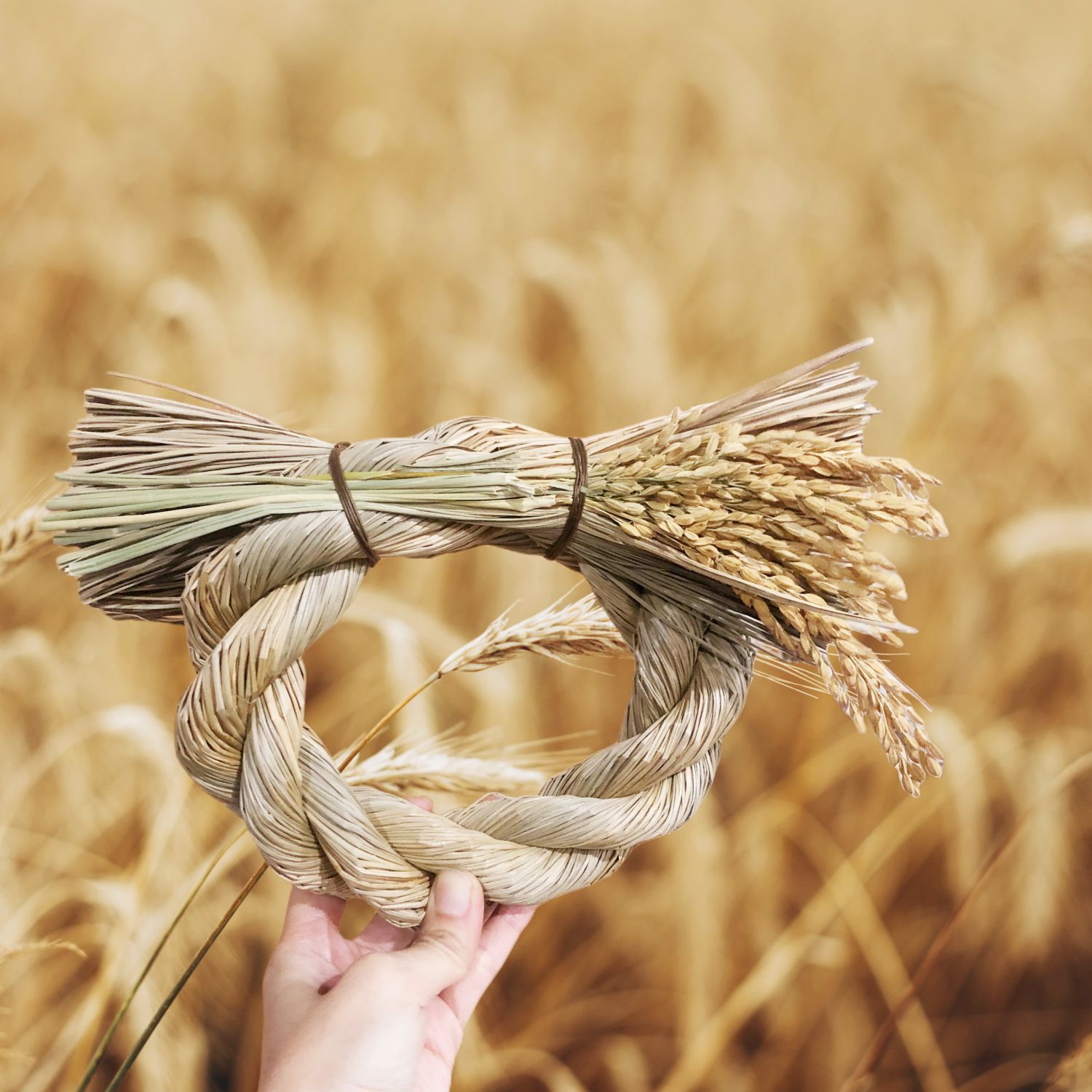 しめ縄  壁掛け しめ飾り 端午の節句 正月飾り  信濃結び飾り お正月グッズ   しめ縄リース半製品