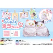 ぷるるんネコちゃん