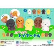 ぷにぷにトイプードル