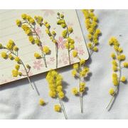 新作 ドライフラワー 花 押し花 材 ネイル ペンダント DIY 手芸 クラフト 手作り素材 デコパーツ