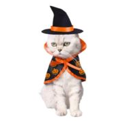 ハロウィン  ペットコスチューム  魔法のマント 猫  犬  変身コスチューム ペット用品