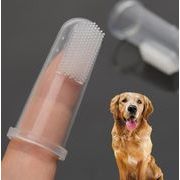 歯ブラシ　ペット　歯ブラシペット用　新作　ペット用品　歯に健康　オーラルケア　歯磨き　犬猫兼用