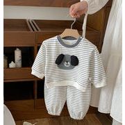 2025秋新作 韓国子供服  ベビー服  キッズ服 シャツ+ズボン 2点セット ストライプ子供服73-100cm