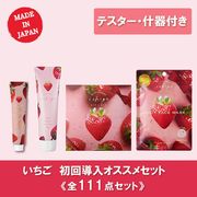 【特別価格】いちごシリーズ 初回導入セット 全111点（テスター什器付）