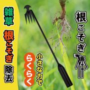 雑草取り/根こそぎ除草/草取り/土起こし/除草道具/ガーデニング/庭手入れ/土堀り/根こそぎ棒