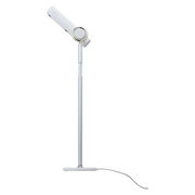 QUADS ビサラホワイト