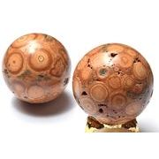 仏眼 龍宮舎利石 46mm 丸玉 スフィア 1個売り _CRG209【宅急便のみ】