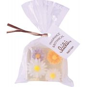 プチリィリィソープ マーガレット PL03