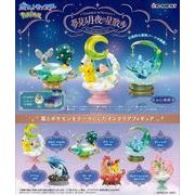 ポケモンＳＴＡＲＲＩＵＭ　ＳＥＲＩＥＳ夢見る月夜の星散歩