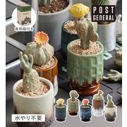 【POSTGENERAL】ザ カクティポット (5種類) POST GENERAL / ポストジェネラル
