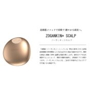 ゾーガンキンスカルプ