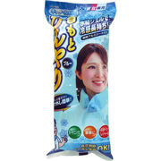 ネックール氷結2 HRN2-64B