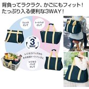 背負えるレジカゴラゲッジ