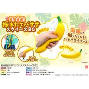 【９月頃入荷予定】産地直送！採れたてバナナスクイーズBC