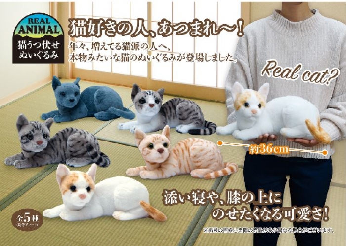 リアルアニマル猫うつ伏せぬいぐるみ 雑貨 中部商事 株式会社 問屋 仕入れ 卸 卸売の専門 仕入れならnetsea リアルアニマル猫うつ伏せぬいぐるみ 雑貨 中部商事 株式会社 問屋 仕入れ 卸 卸売の専門 仕入れならnetsea