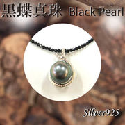 ペンダント＆ネック / 44-0353  ◆ Silver925 シルバー ペンダント  黒蝶真珠 ＆スピネル ネックレス