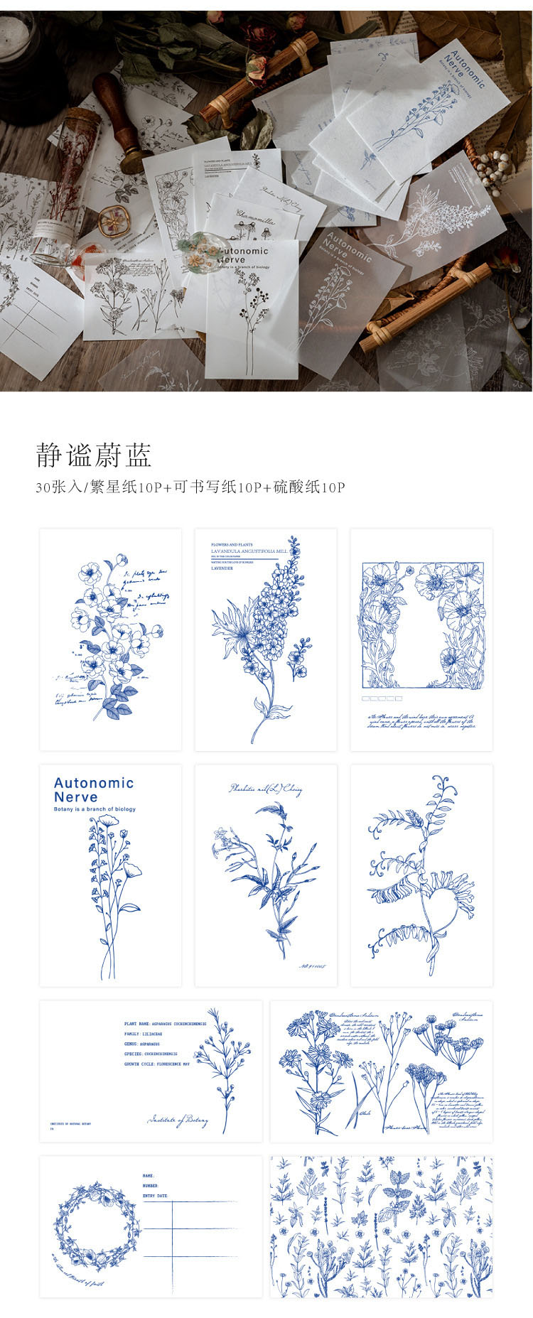 塩系文具 メモ紙 素材紙 手帳素材 アンティーク ラベル 植物図鑑 花葉 文字 30枚入 日用雑貨 Btd Engi 株式会社 問屋 仕入れ 卸 卸売の専門 仕入れならnetsea