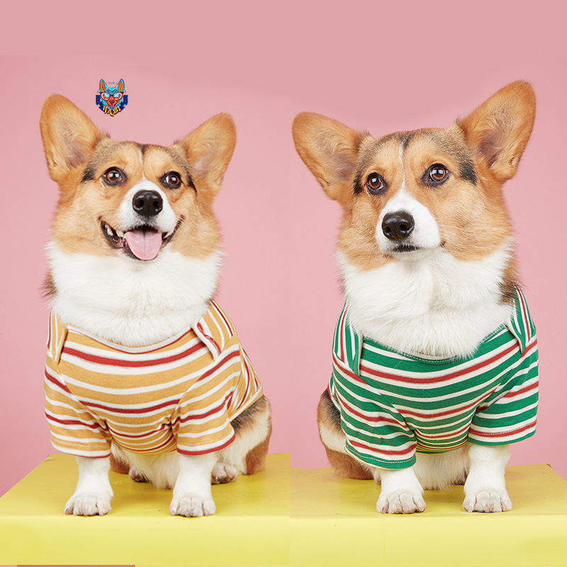犬服春夏ストライプベースコート薄片オールマッチコットンコーギー方式テディシュナウザーTシャツ
