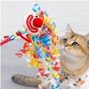 ペット雑貨 猫玩具 遊び おもちゃ ペット用品 ふりふり猫 ペット玩具 ストレス解消 鈴 道化役者
