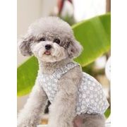INS  人気   2022春夏新作   韓国風  超可愛いペット服  犬服   小型犬用   衣装   犬  猫  ペット用品