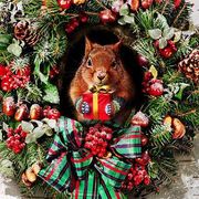 グリーティングカード クリスマス「プレゼントを贈るリス」メッセージカード 動物