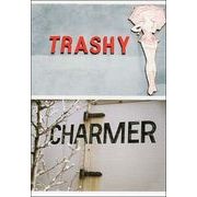 ポストカード カラー写真「TRASHY CHARMER」