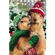 ミニカード クリスマス「ハグをするリスシリーズ」メッセージカード
