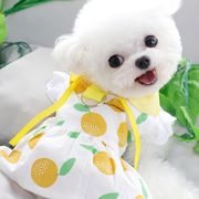 春夏新作 小型犬服★超可愛いペット服★犬服★猫服★犬用シャツ★ペット用品★ネコ雑貨