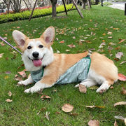 ペットエプロン、夏の犬のレインコート、防水性と汚れ防止の防寒ペット用品、夏の薄いペットの服