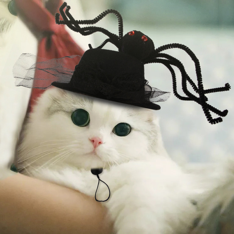 激安 ペット用帽子 犬用猫用 仮装帽子 大中小型犬/猫 ハロウィン Halloween 蜘蛛 レース リボン