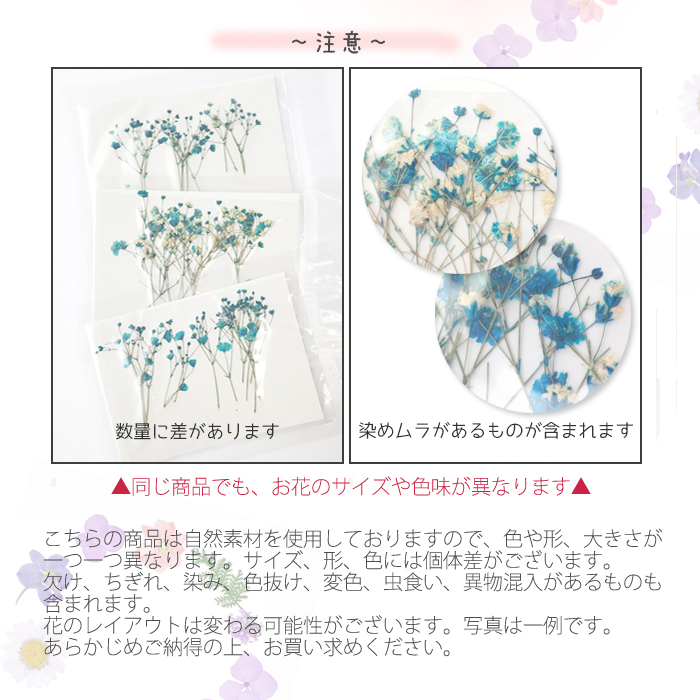 デコパーツ【91. 押し花 かすみ草】 20本入り 花 ドライフラワー