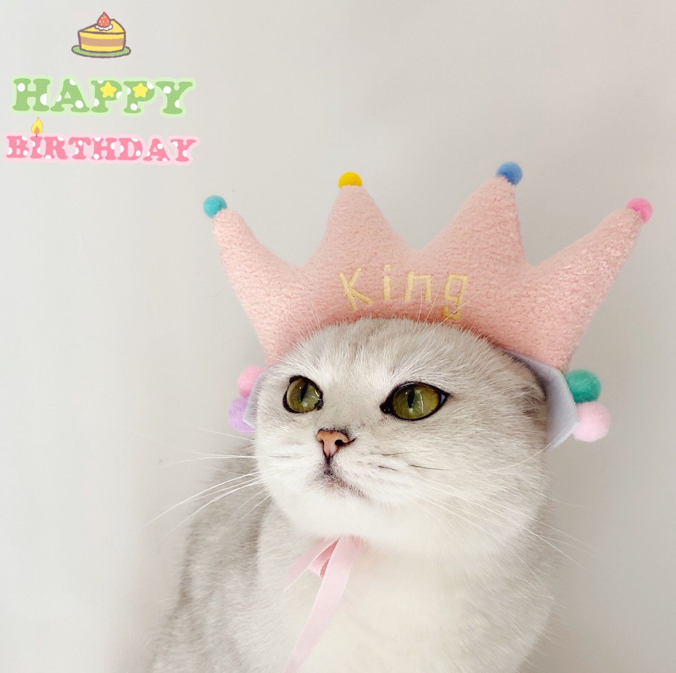 ペット用品 ネコ雑貨 犬用スタイ 誕生日 帽子 犬 猫 グッズ ハッピーバースデー