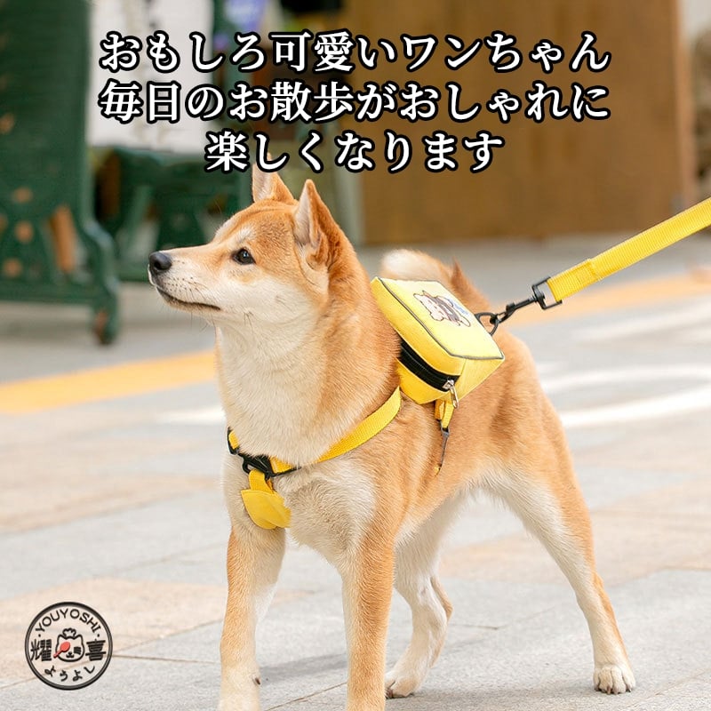 犬用 首輪 リード ２点セット 牽引ロープ ペット用品 大型犬 中型犬